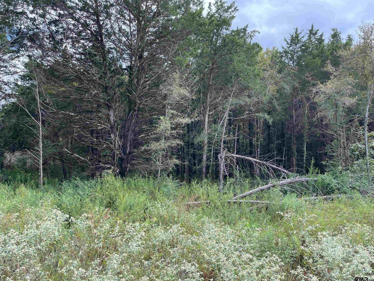 19421 Cedarpark Place Lot 28 - Photo 1