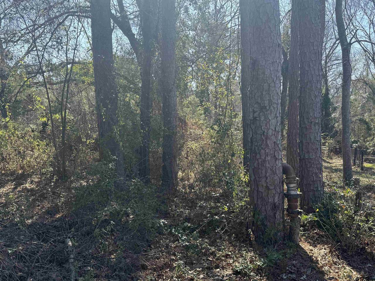TBD Highmeadow Cir - Photo 1
