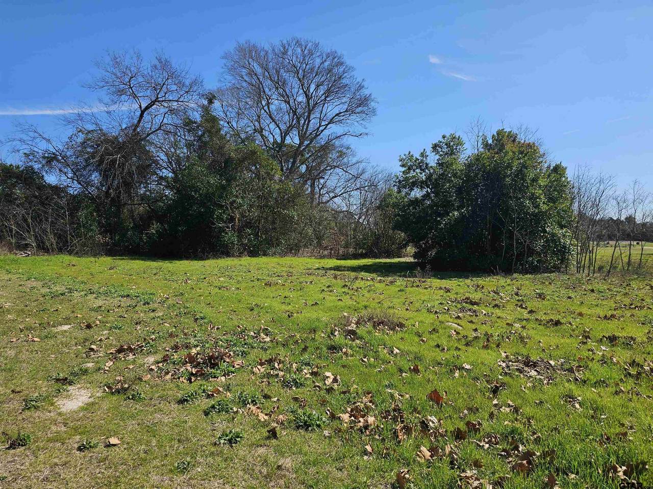 TBD Fm 1002 (.58 Acres) - Photo 1