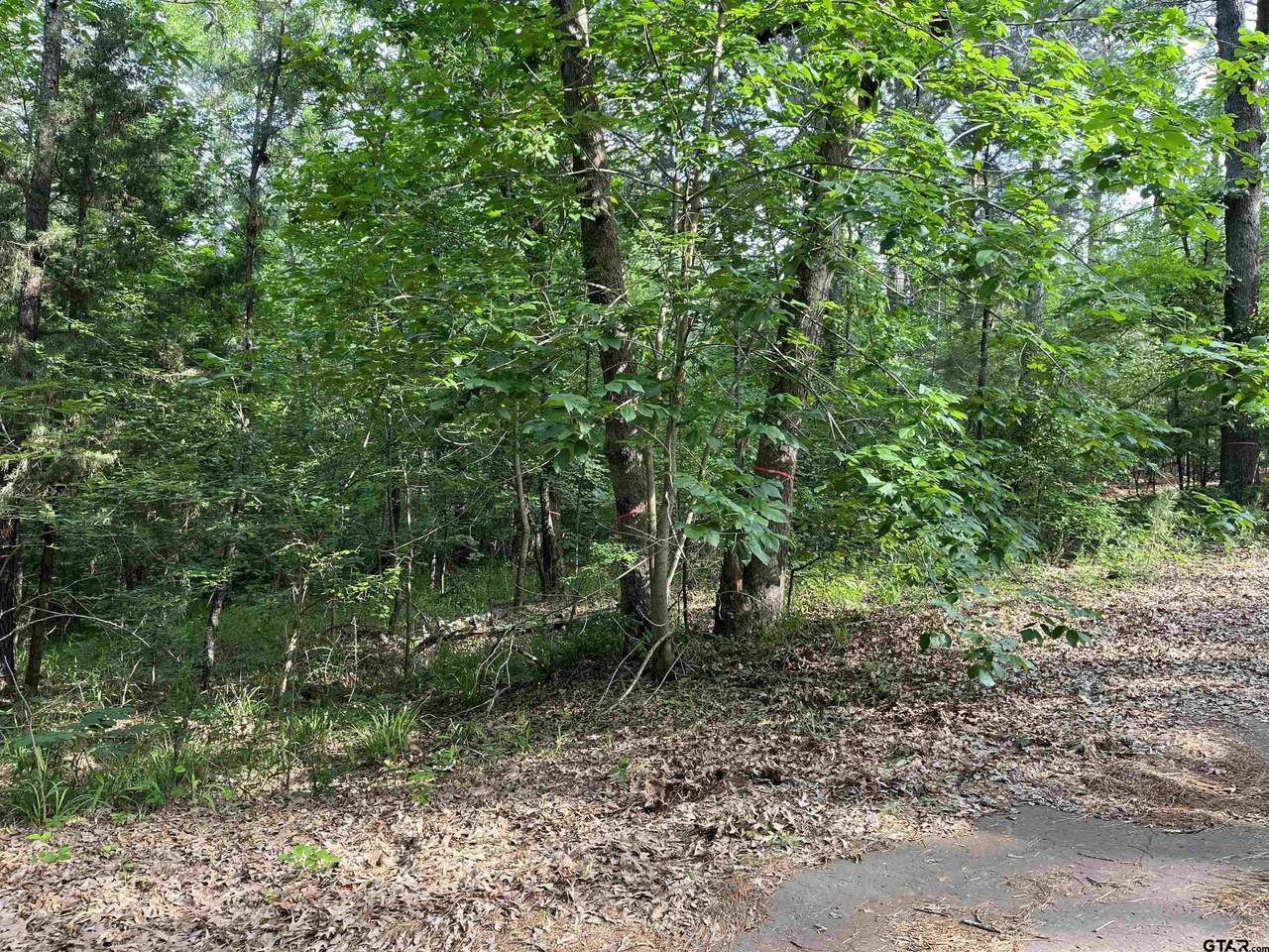 lot 147 Silver Oaks Dr - Photo 1