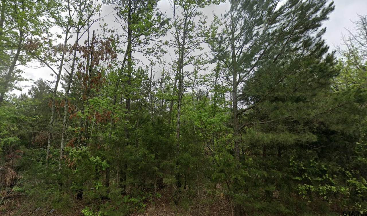135 Elam Springs Cemetery Rd - Photo 1