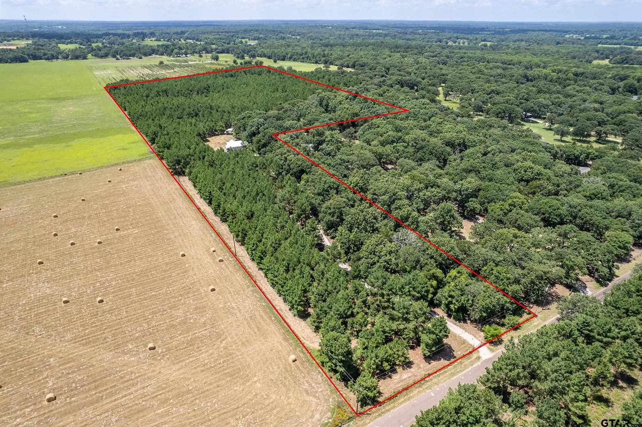 25325 County Road 462 - Photo 1
