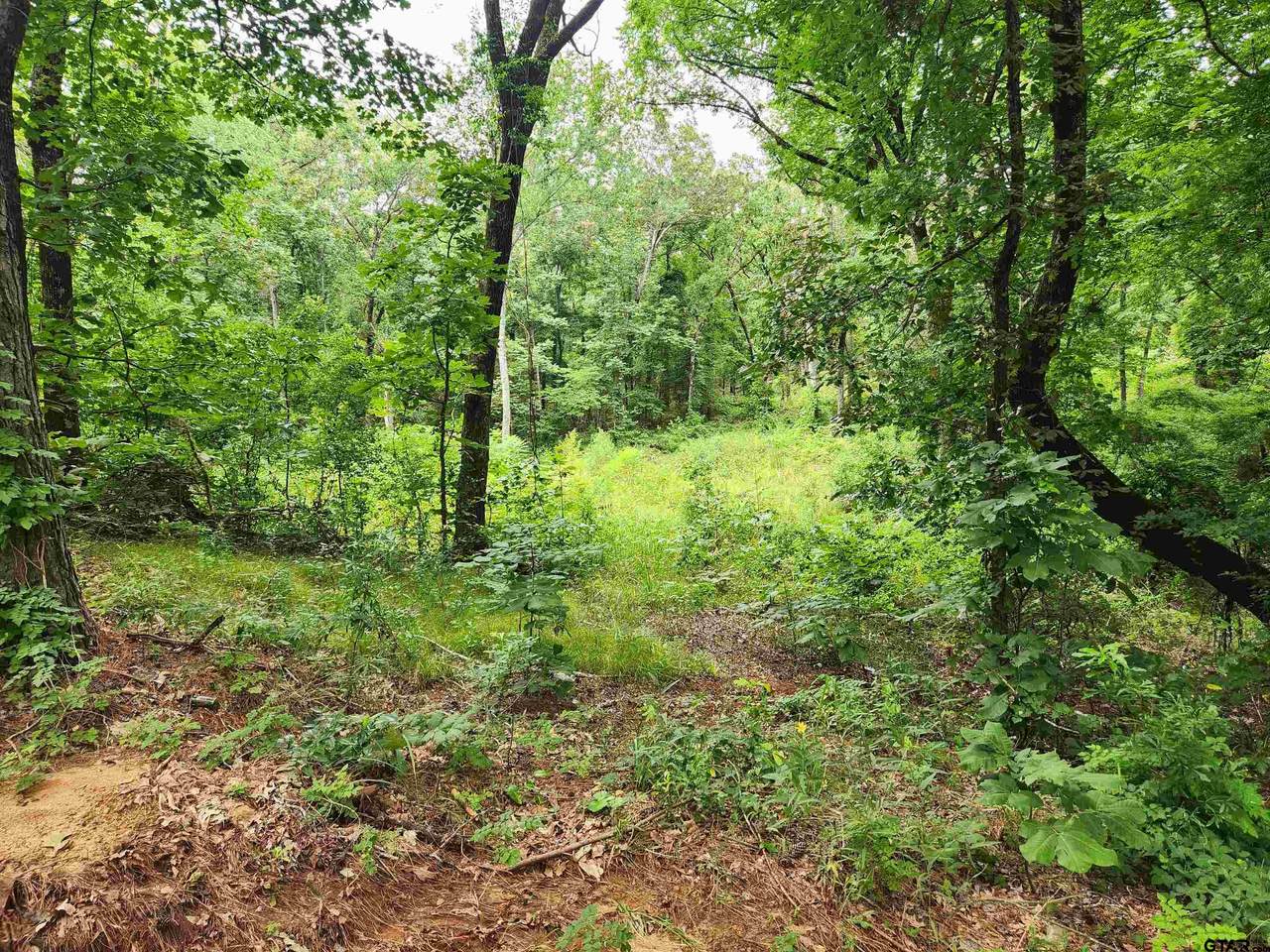 Lot 6 Cr 4125 - Photo 1