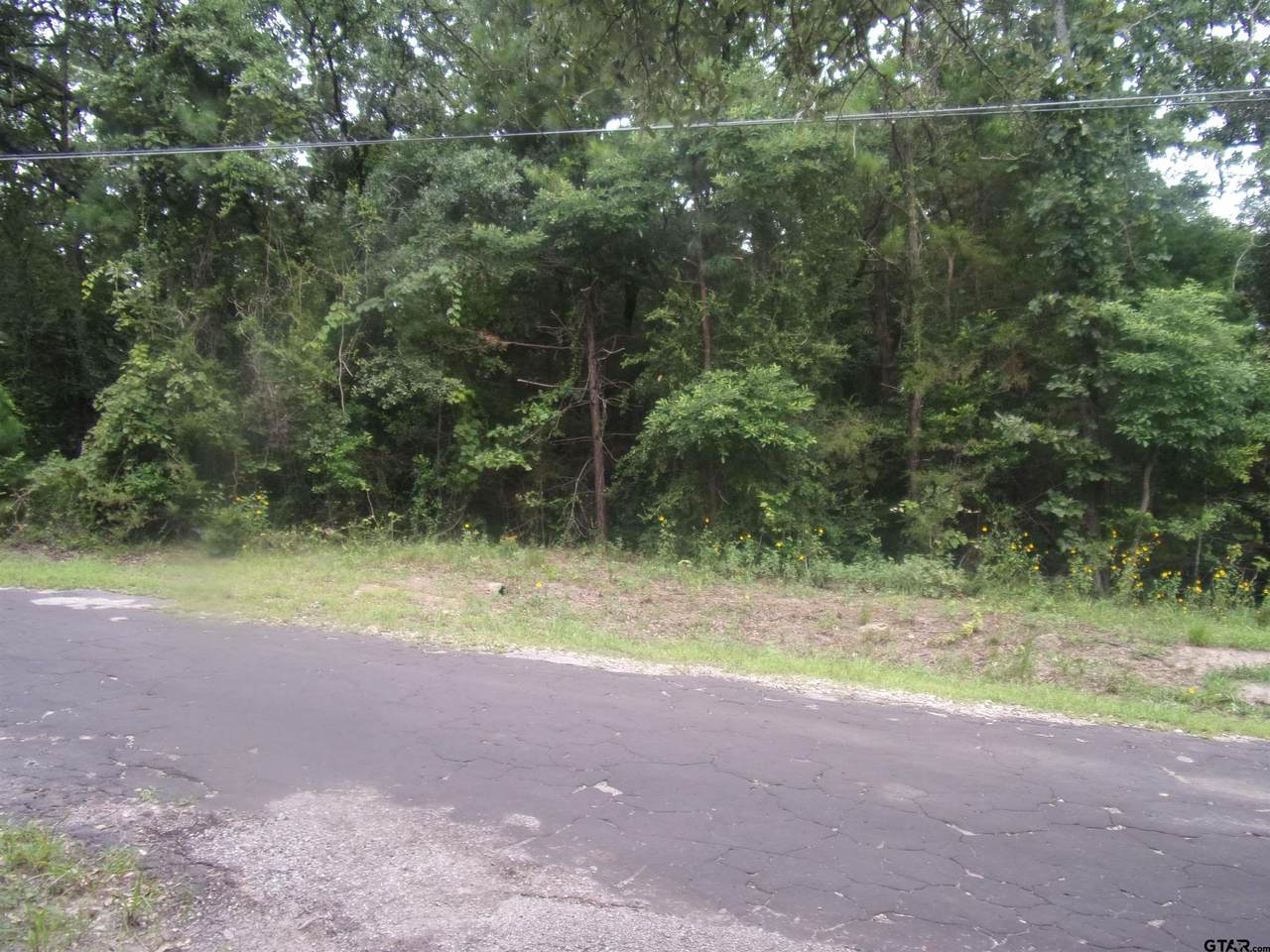 tbd Holly Glen - Photo 1