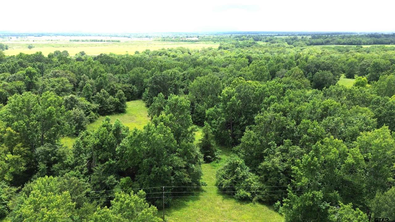 Tract 1 Cr 2065 - Photo 1