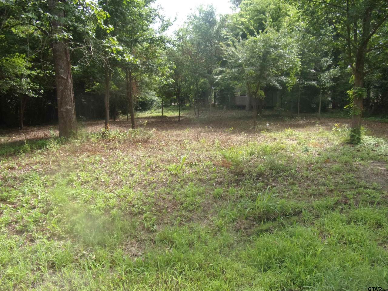 751 Dogwood Trail - Photo 1