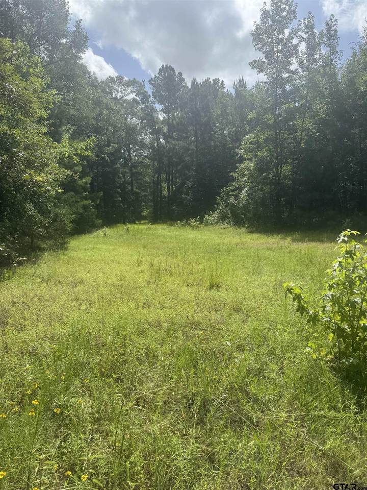 TBD Cr 2126 - Photo 1