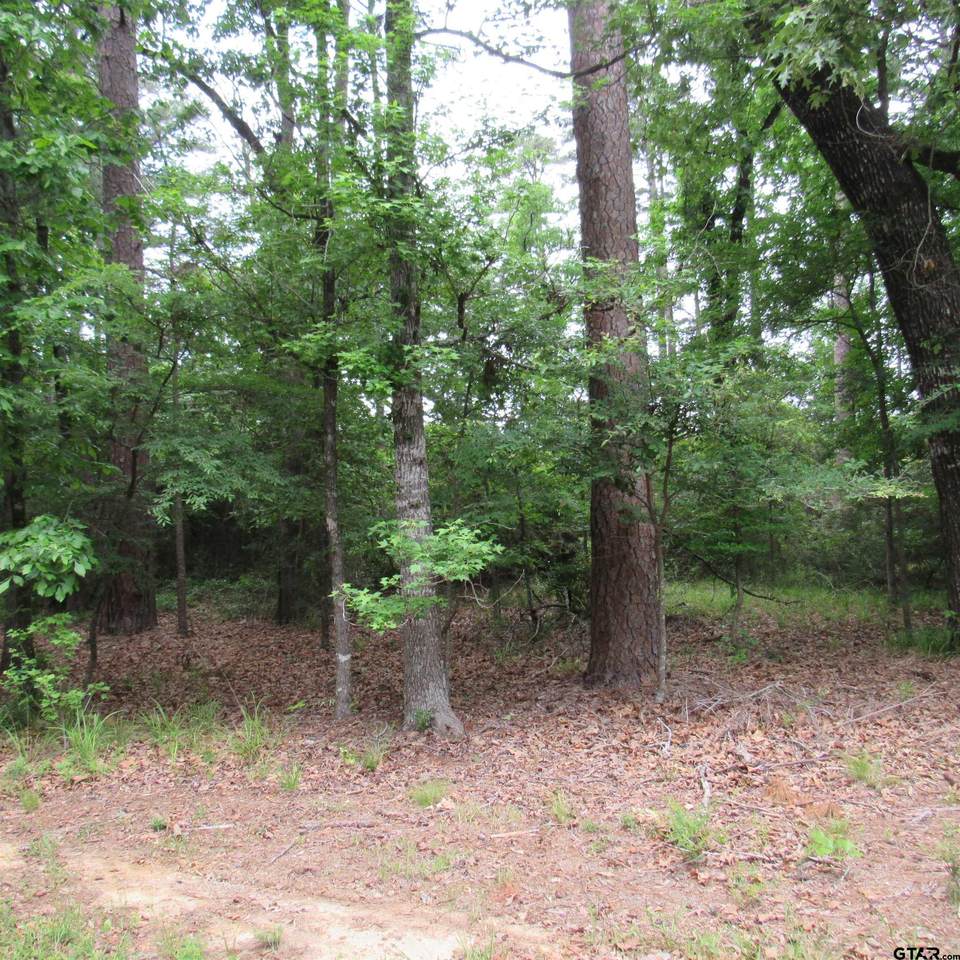 TBD Rolling Ridge - Photo 1