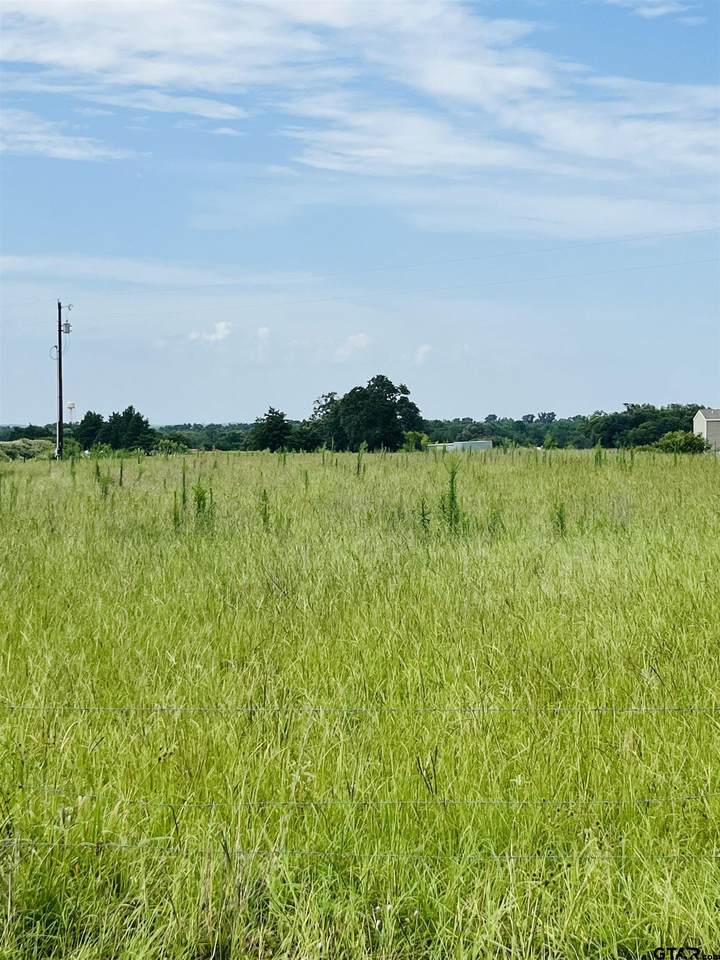 TBD County Road 4702 - Photo 1