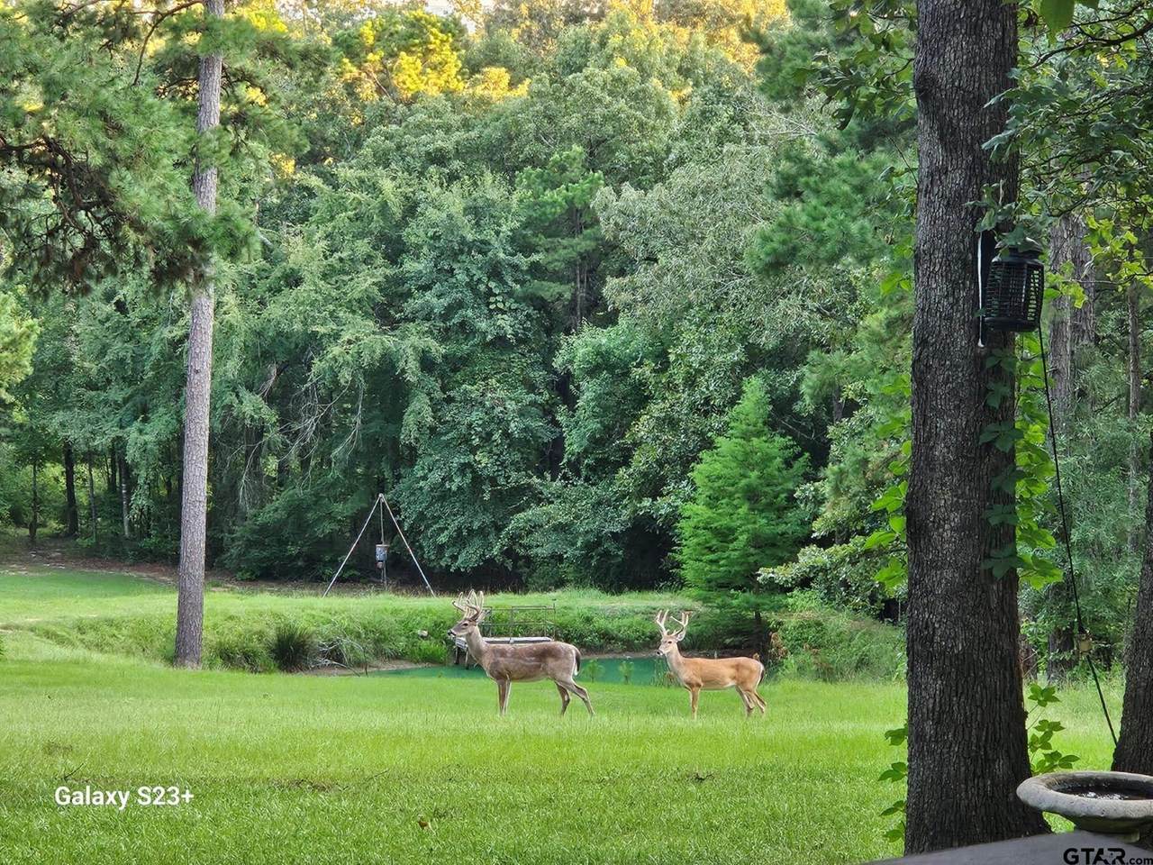 4491 Fm 2869 - Photo 1