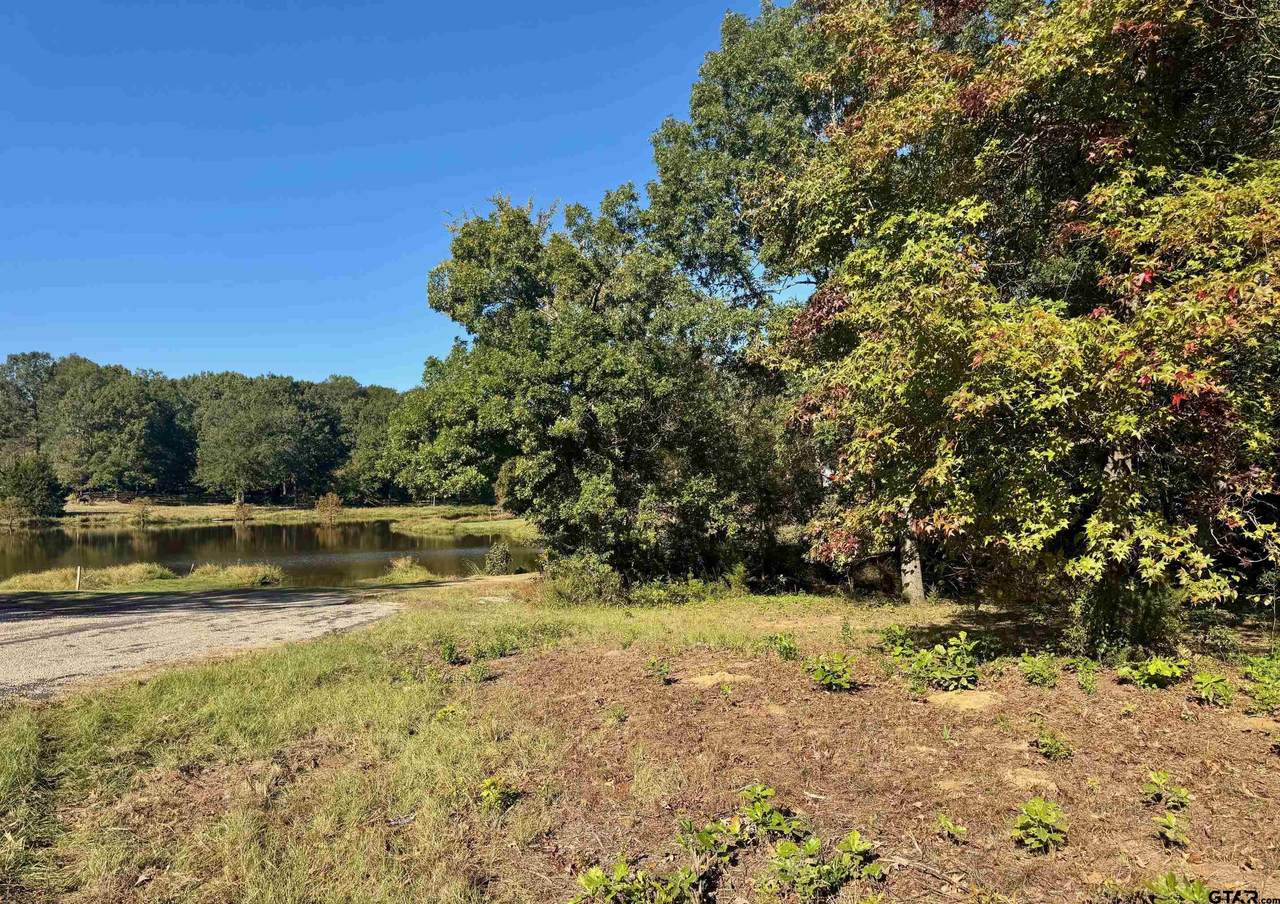 Lot 18 County Road 1216 - Photo 1
