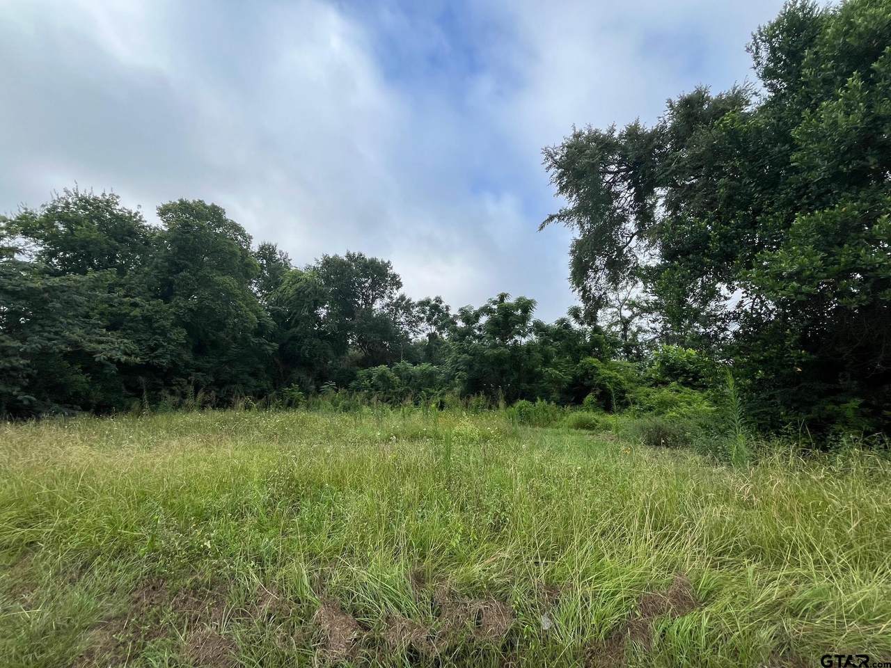 Lot 3 Dobbs - Photo 1