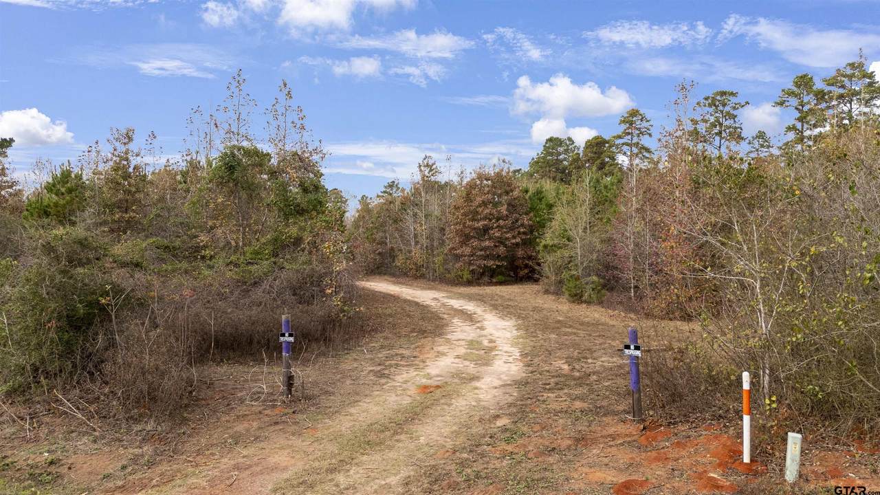 2528 Fm 1798 - Photo 1