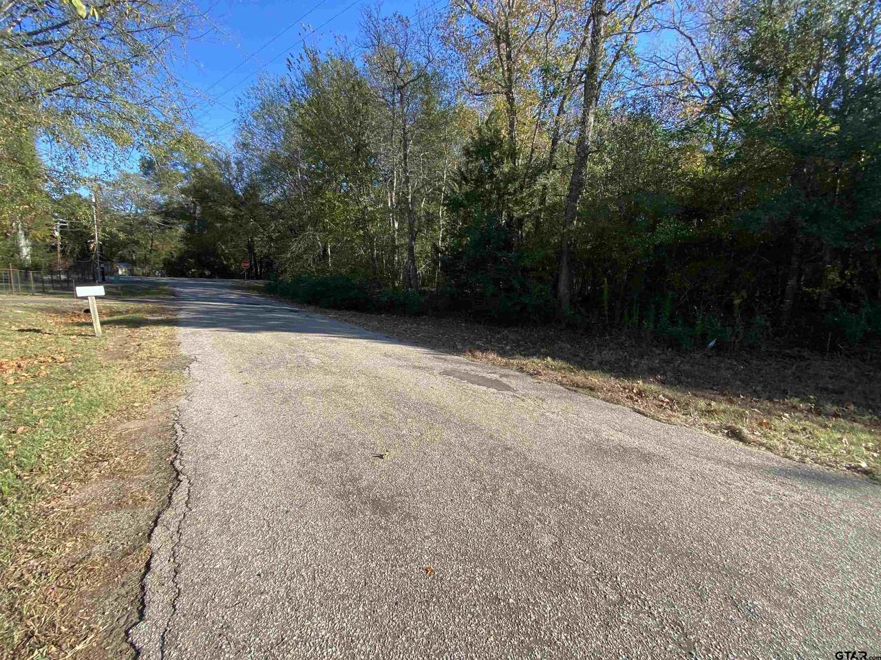 11684 Lot 2 Cr 338 - Photo 1