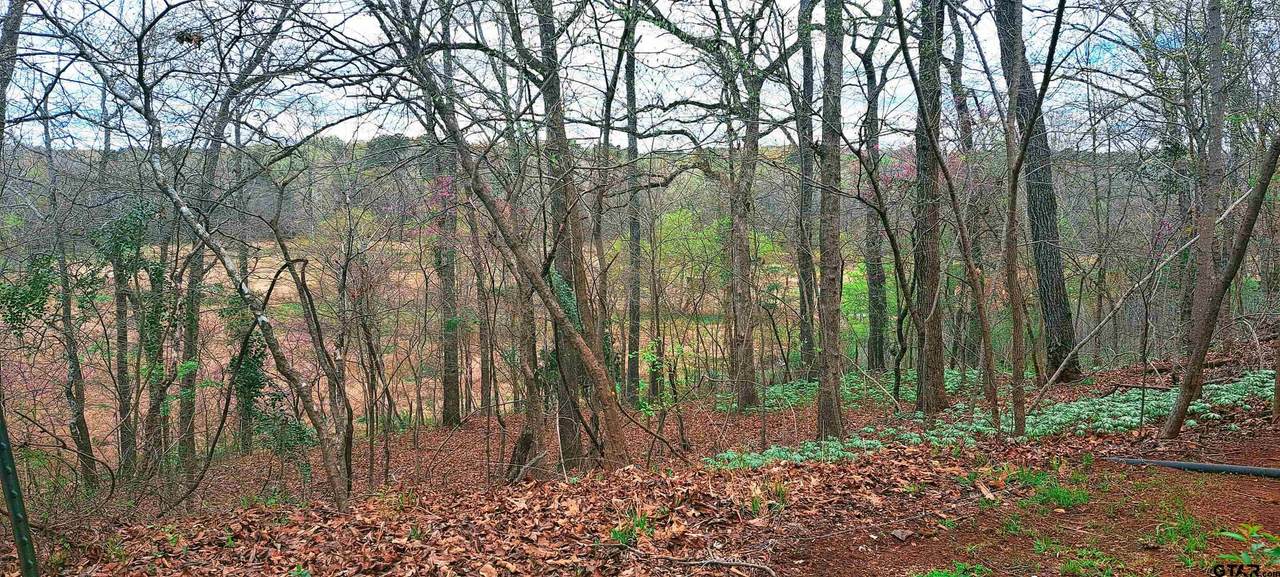 10774 Cr 494 (Multiple Addresses) - Photo 1