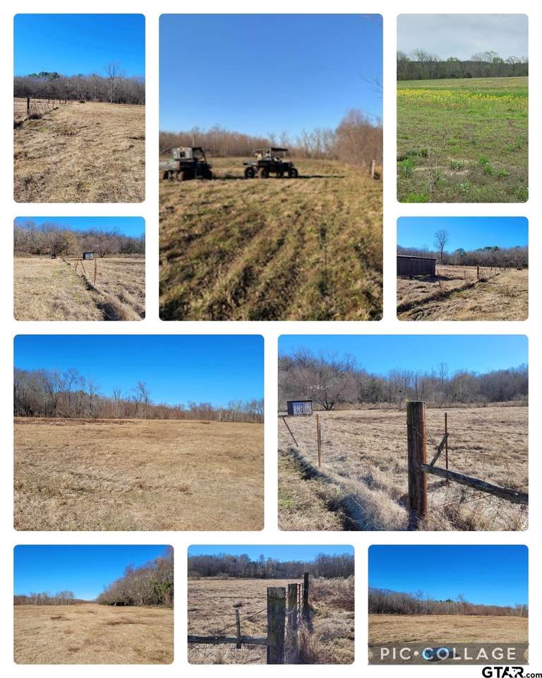 10774 County Road 494 (Multiple Addresses) - Photo 1