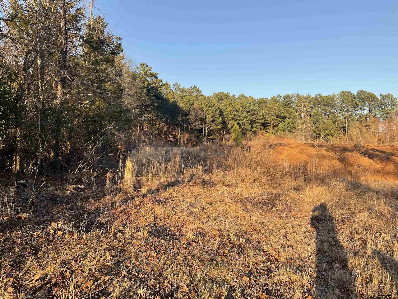 2442 Old Henderson Hwy - Photo 1