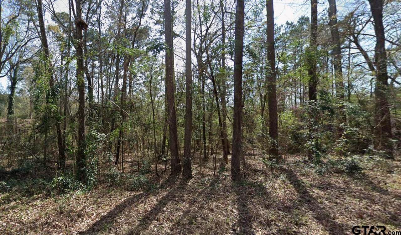 TBD Ashwood Dr. #Lot 204 - Photo 1