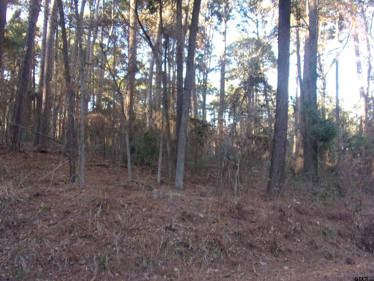 tbd Lake Side Drive - Photo 1