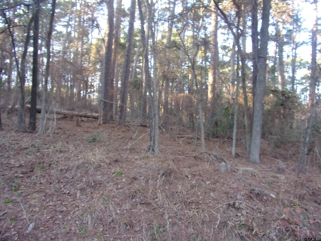https://bt-photos.global.ssl.fastly.net/tyler/1280_boomver_1_26002130-2.jpg