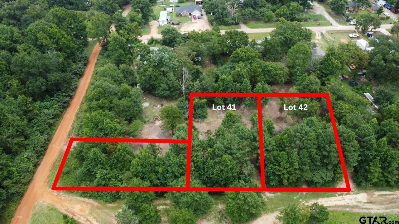 TBD Holtzclaw Dr Lot 42 - Photo 1
