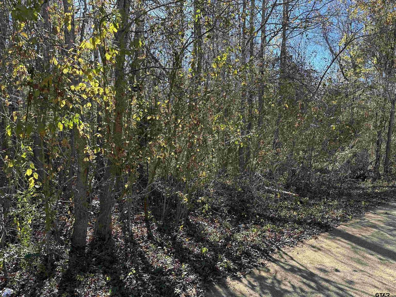 628 Balmorea Drive - Photo 1