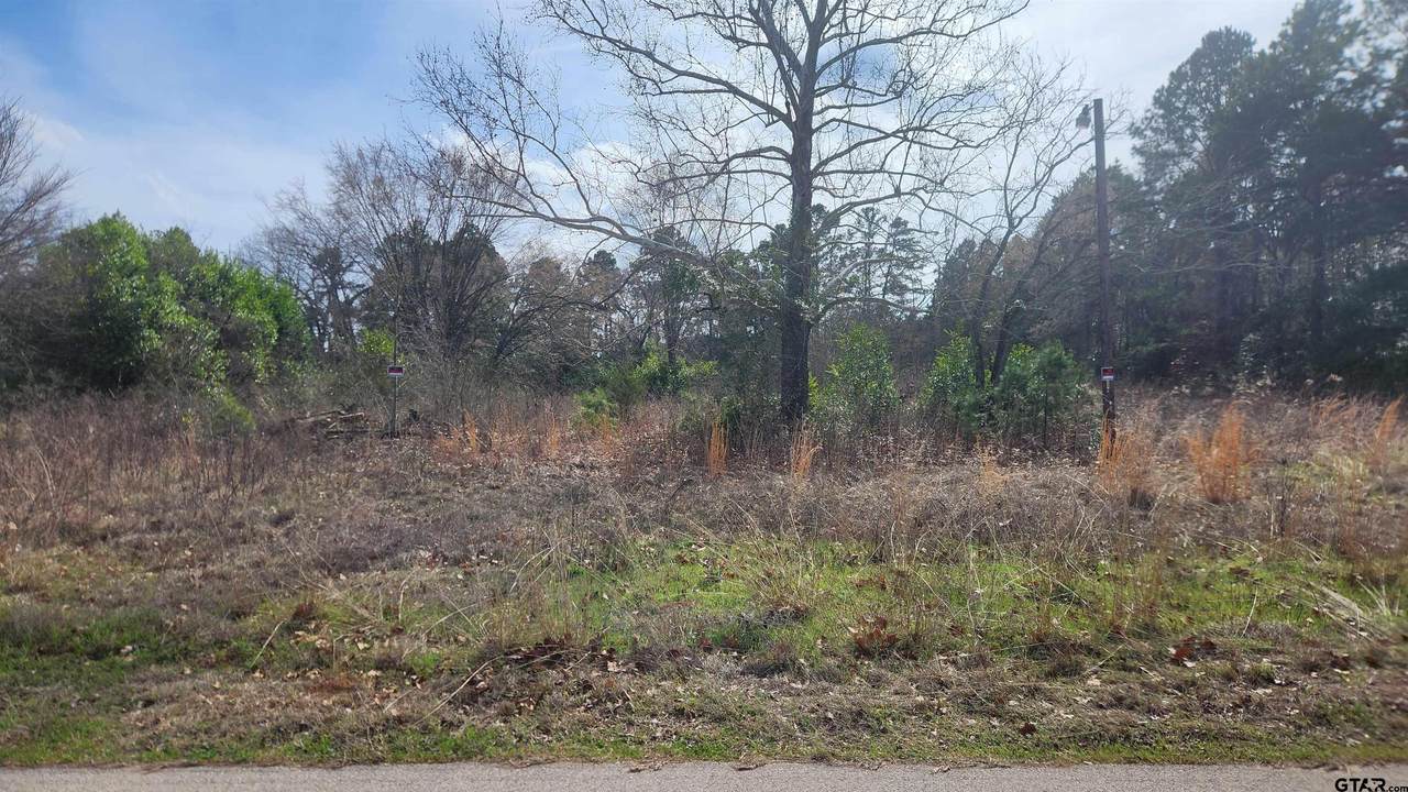 18194 Cr 442 - Photo 1