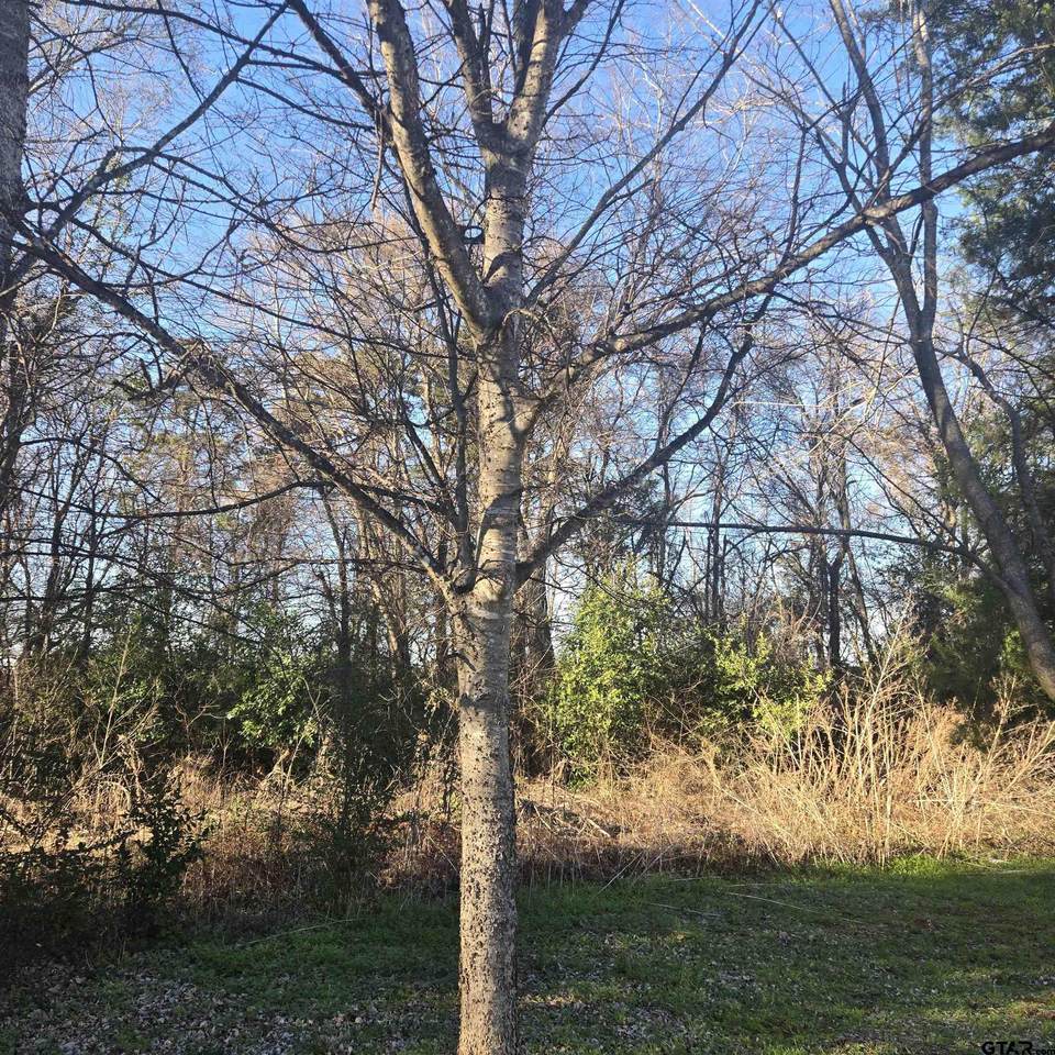 TBD Rolling Wood Hills Subdivision - Photo 1