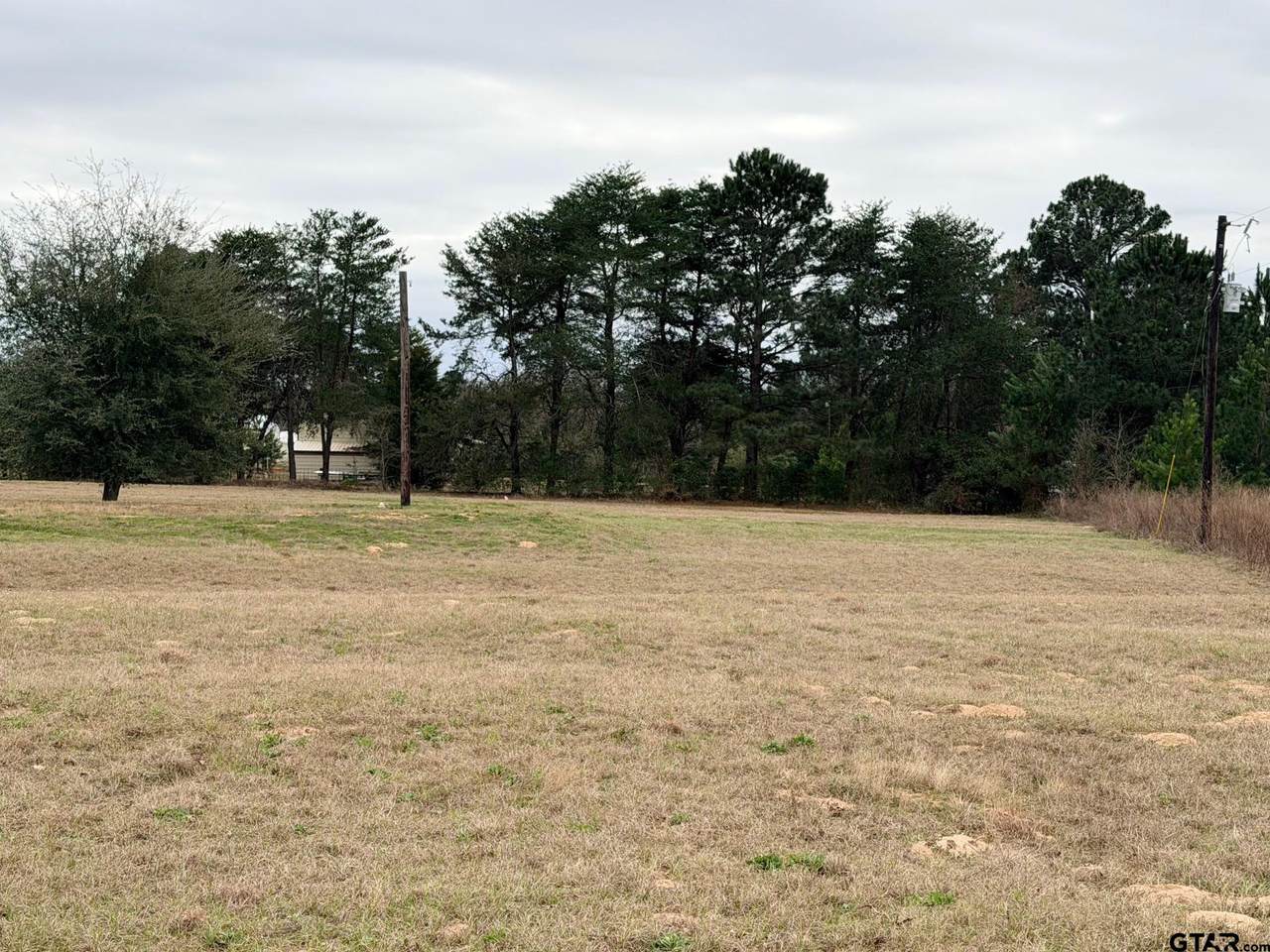 198 Crockett - Photo 1