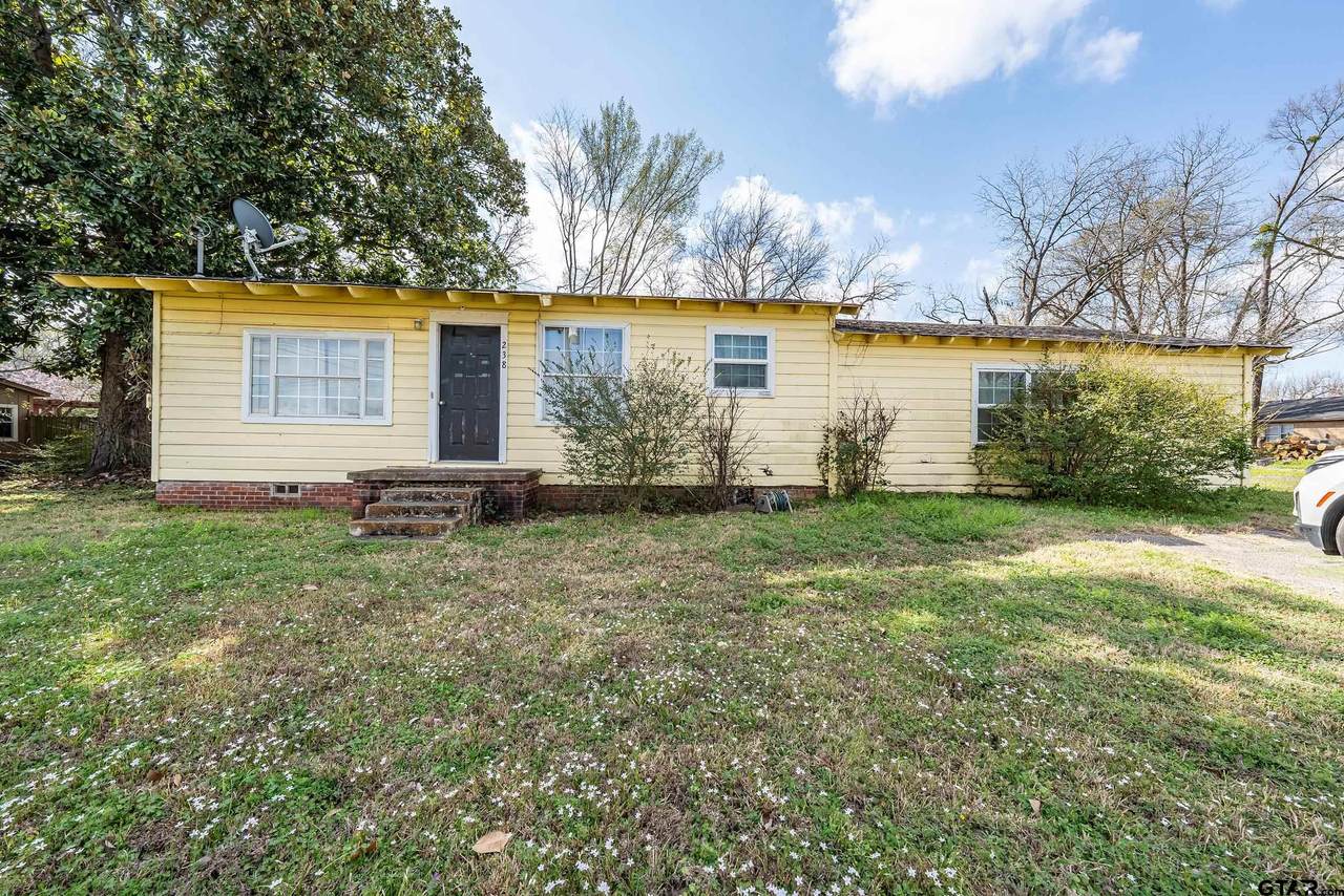 228 Old Tyler Hwy - Photo 1