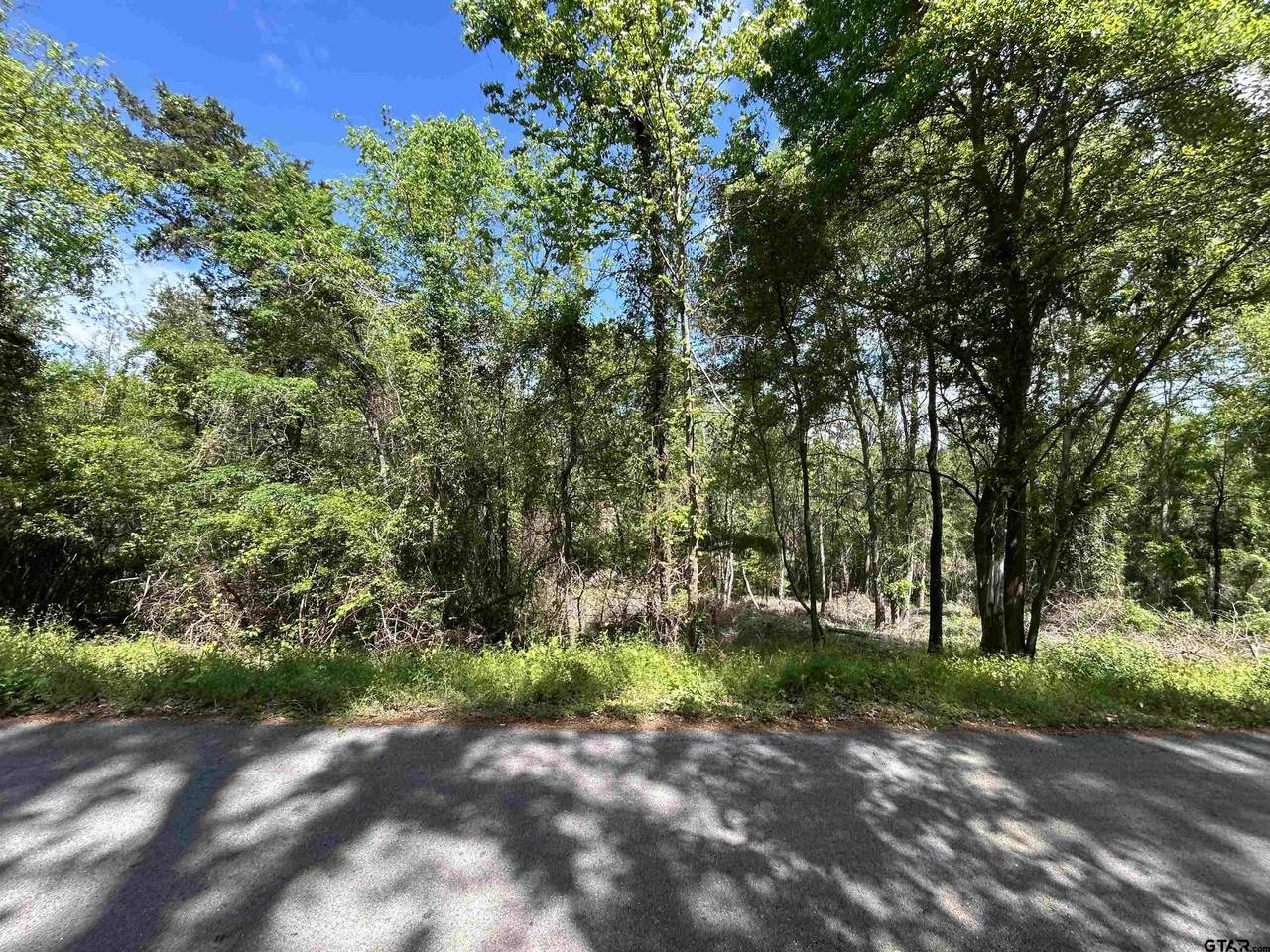 13908 County Road 1250 - Photo 1
