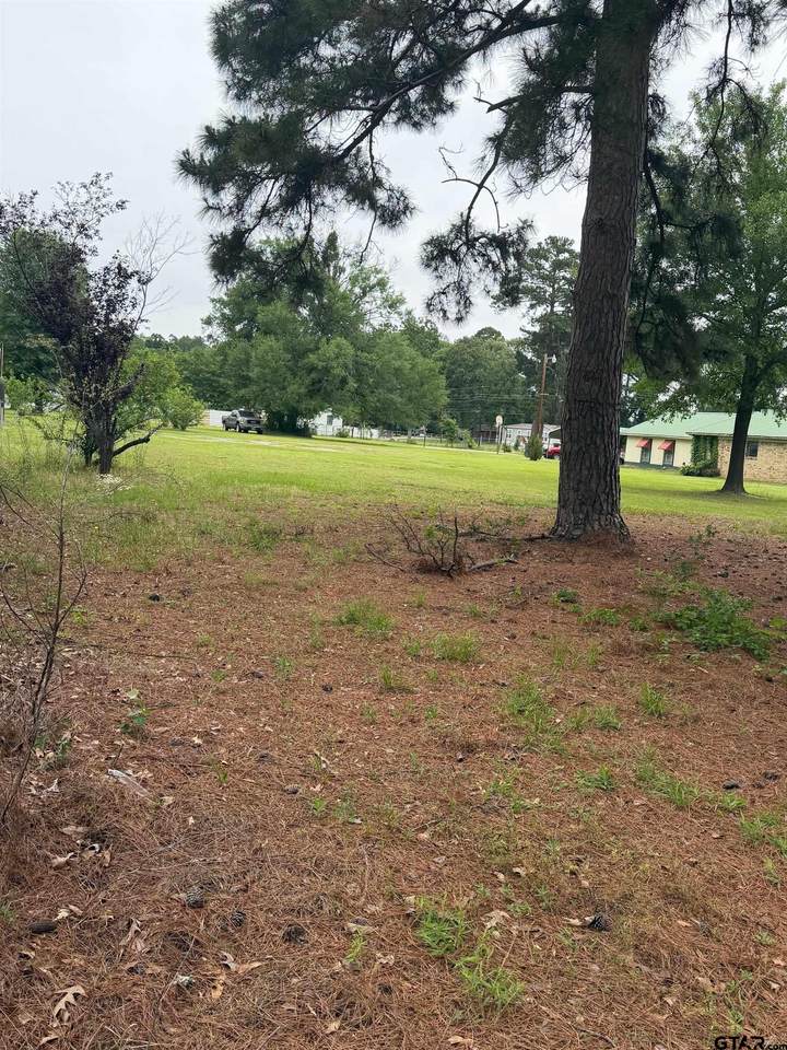 0 Cutter Drive - Photo 1