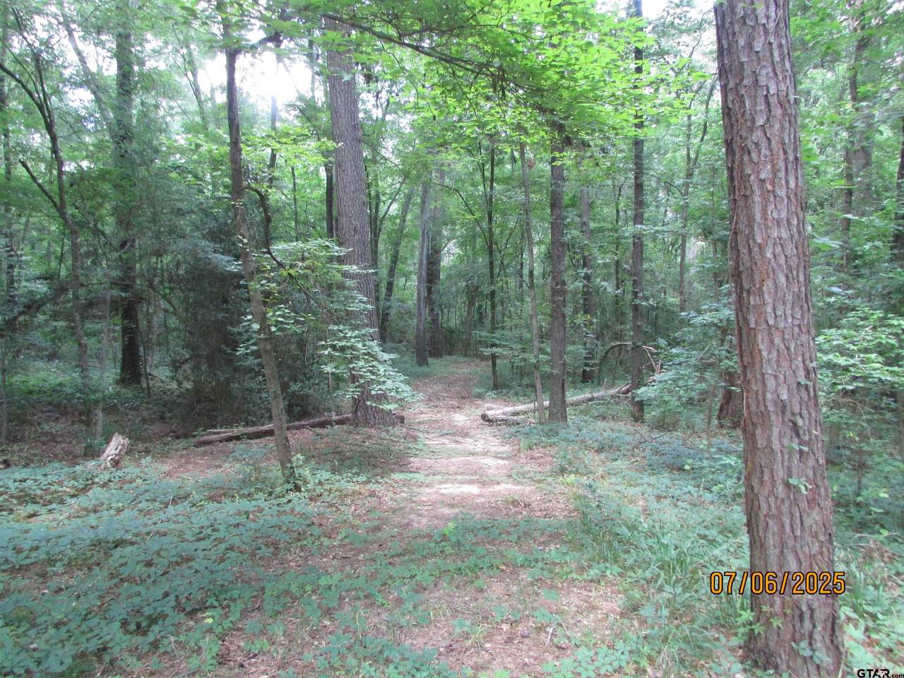 https://bt-photos.global.ssl.fastly.net/tyler/1280_boomver_1_26006644-2.jpg