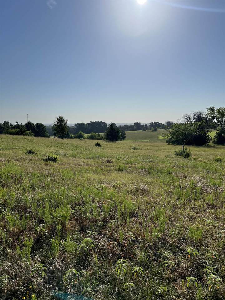 TBD Centennial - Photo 1