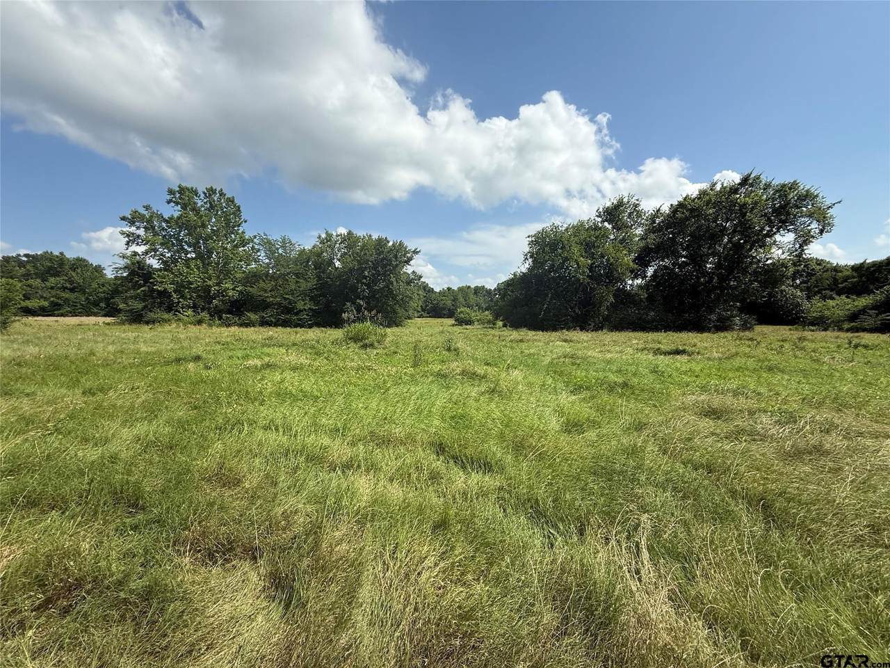 11591-2 Farm Road 269 - Photo 1