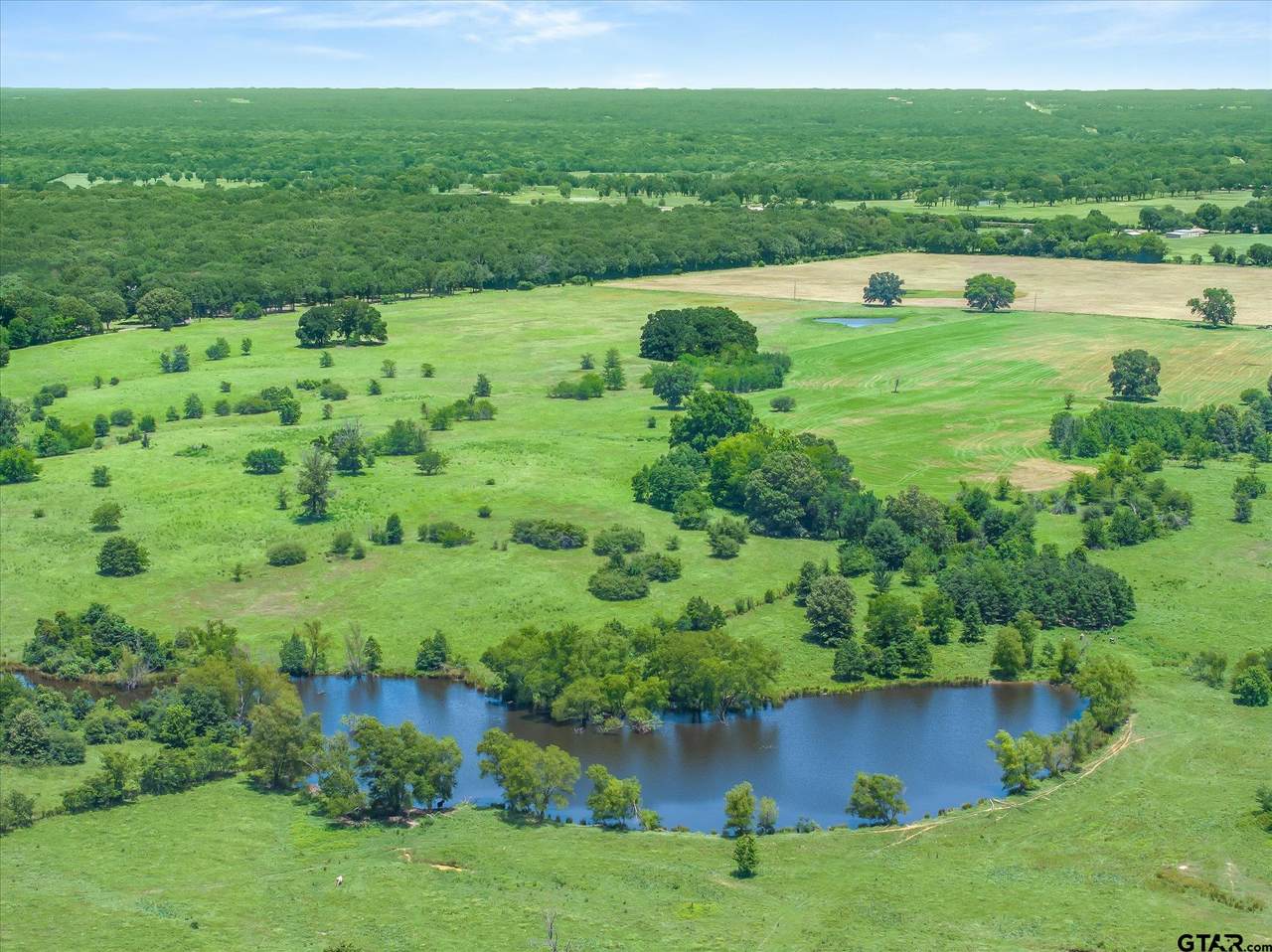 https://bt-photos.global.ssl.fastly.net/tyler/1280_boomver_1_26009575-2.jpg