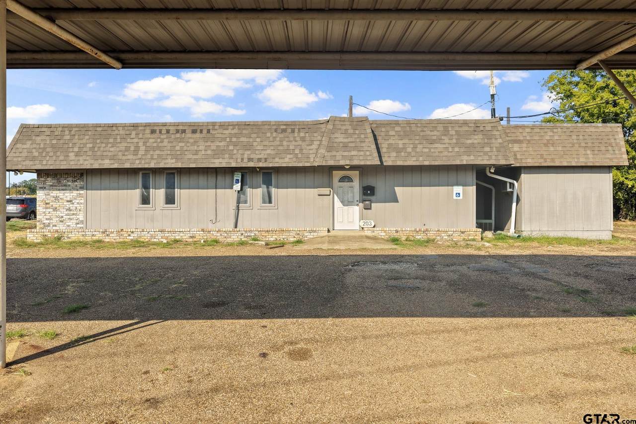 203 E 16th - Photo 1