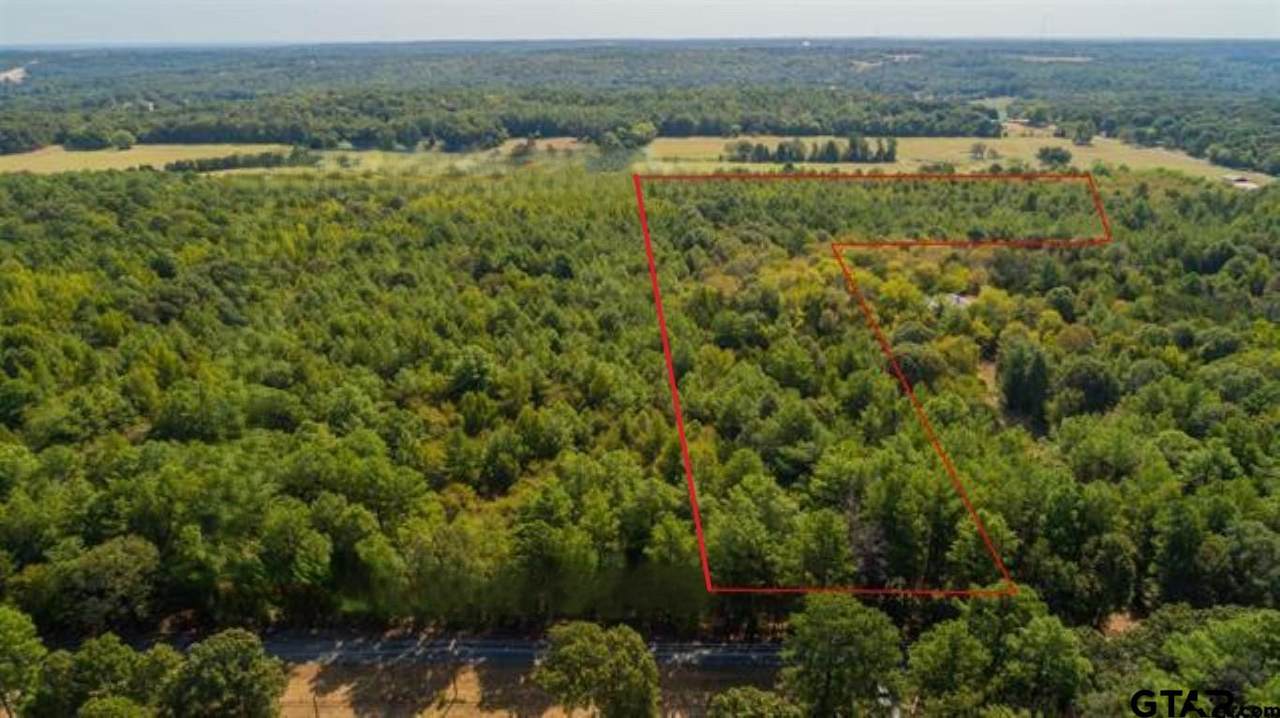 TBD Cr 479 (14.99 Ac Tract 4) - Photo 1