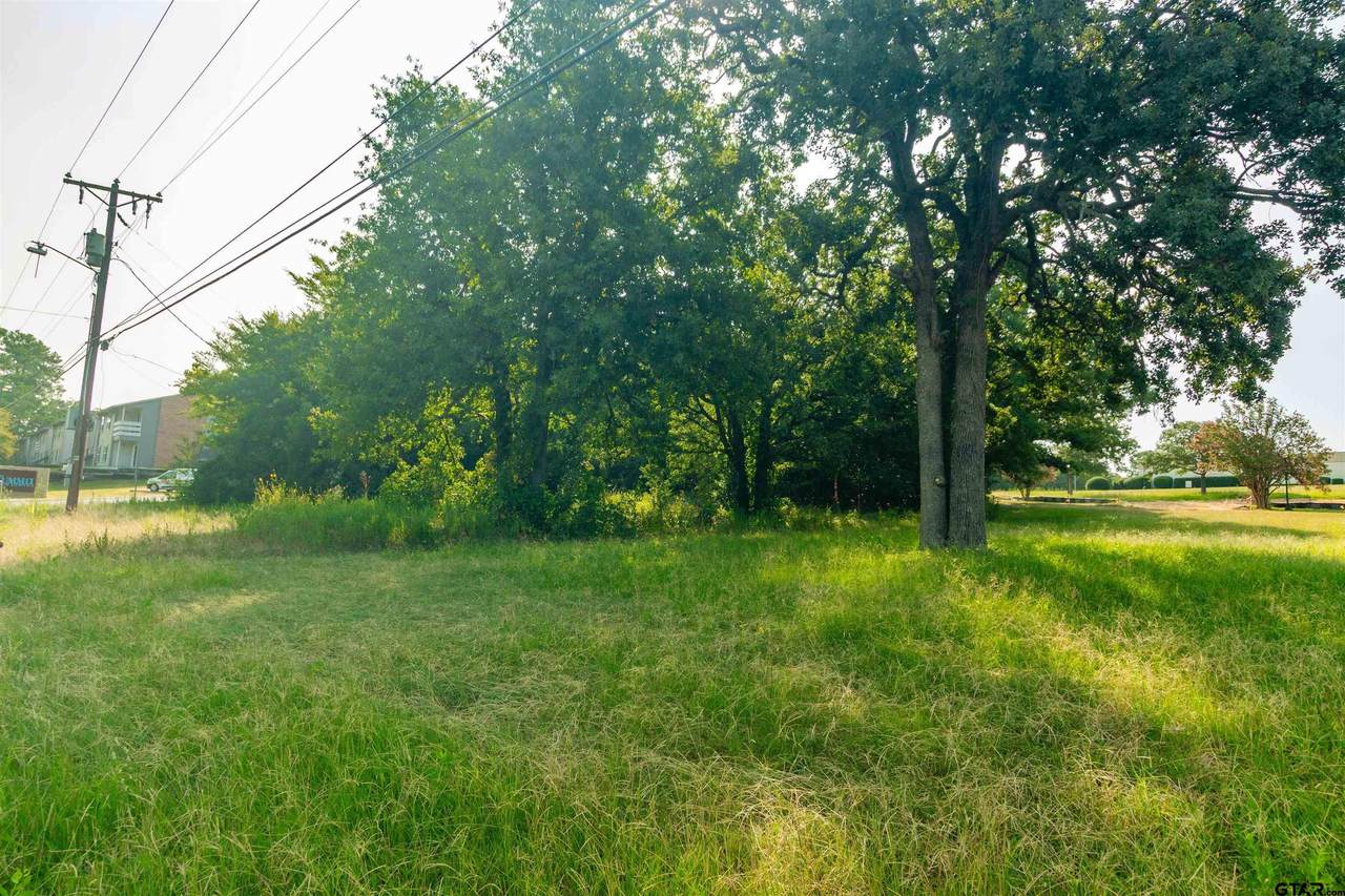 TBD Hwy 31 E - Photo 1