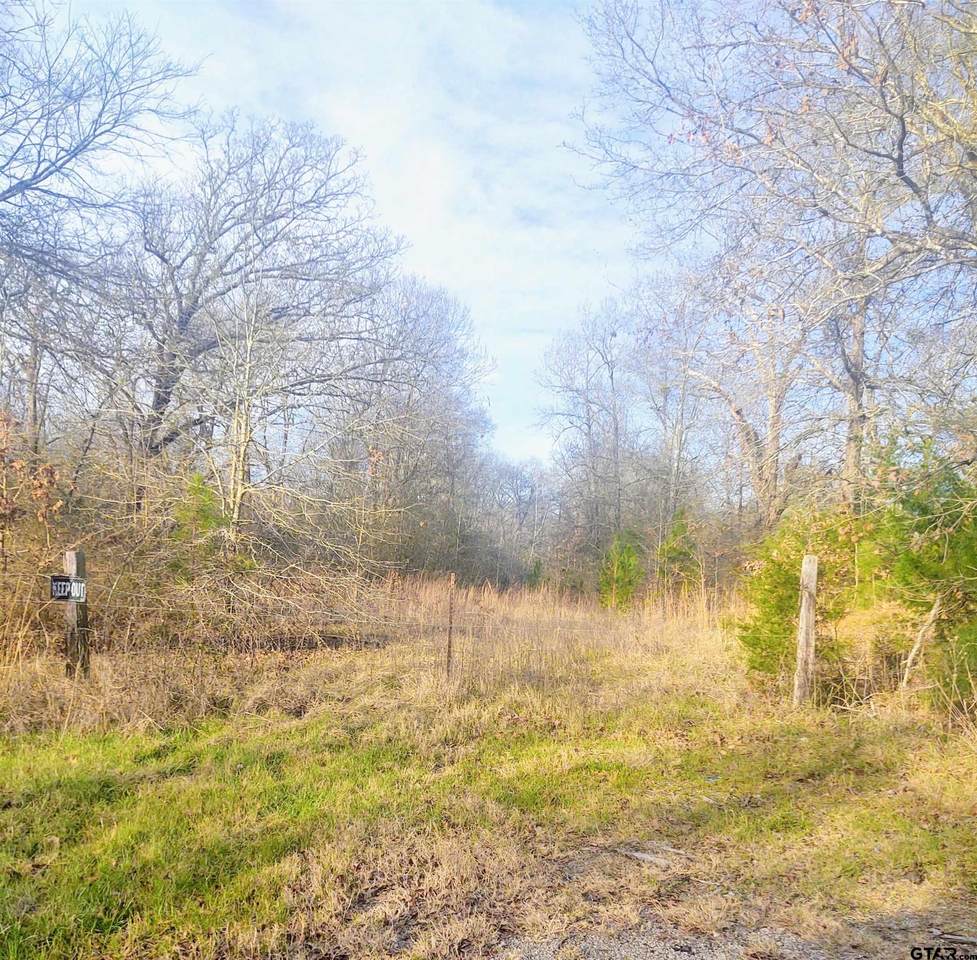 TBD Vz County Road 4912 - Photo 1