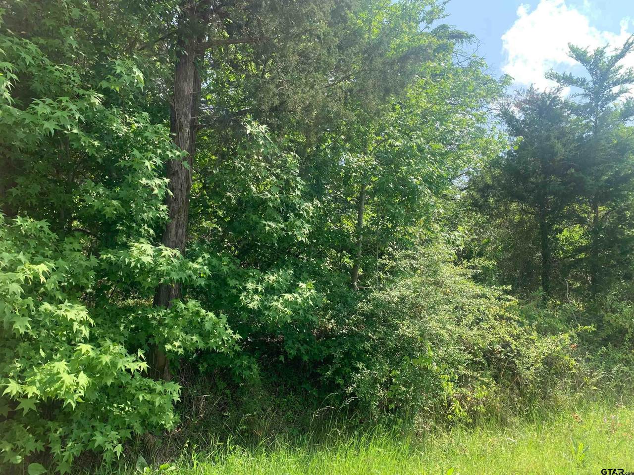 TBD Cr 1670 - Photo 1