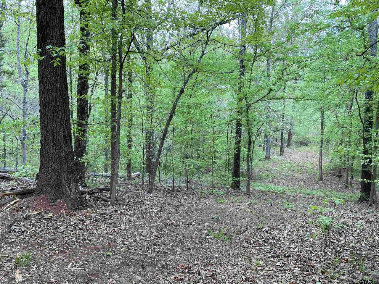 TBD County Road 2123 - Photo 1