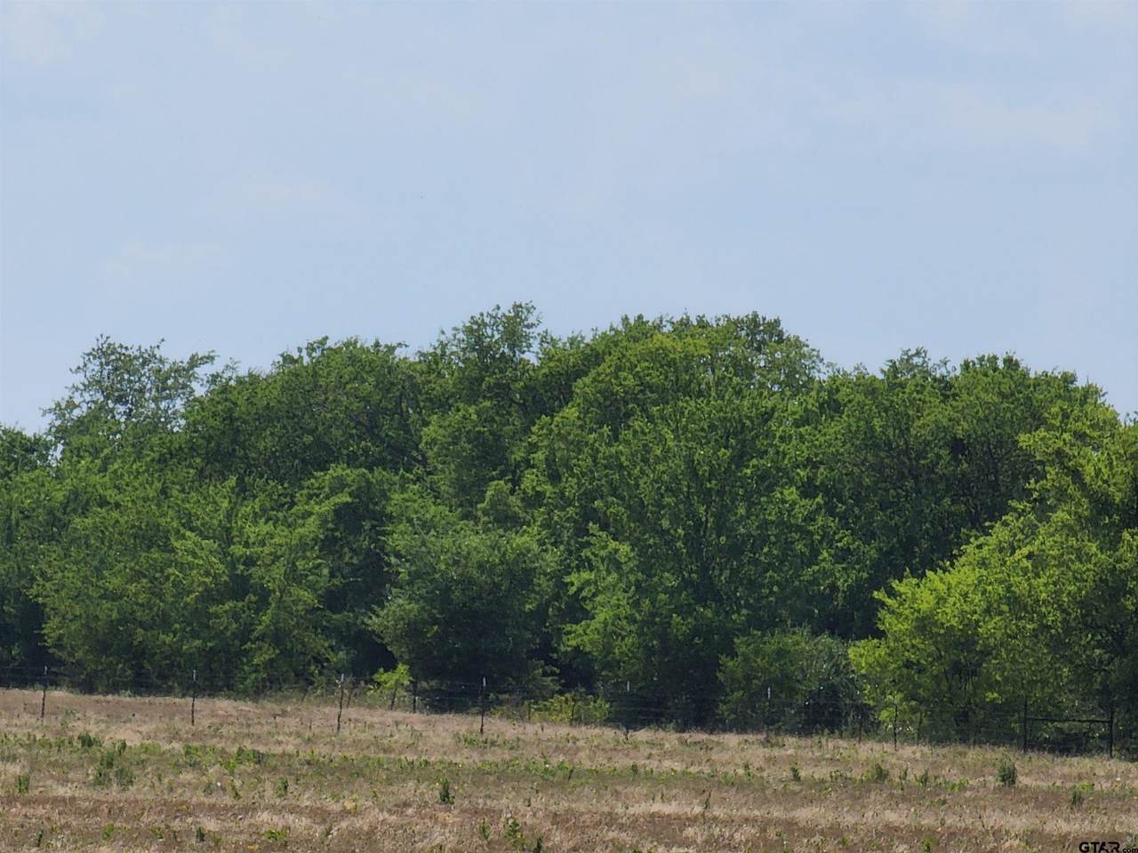 3970 Fm 47 - Photo 1