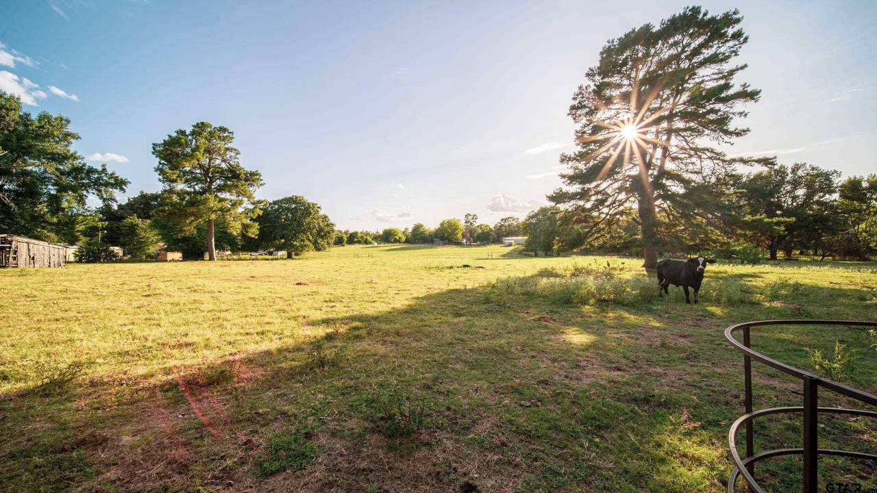 16591 Cr 15 - Photo 1