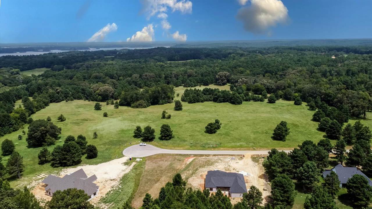 16078 Aniston Lane - Photo 1