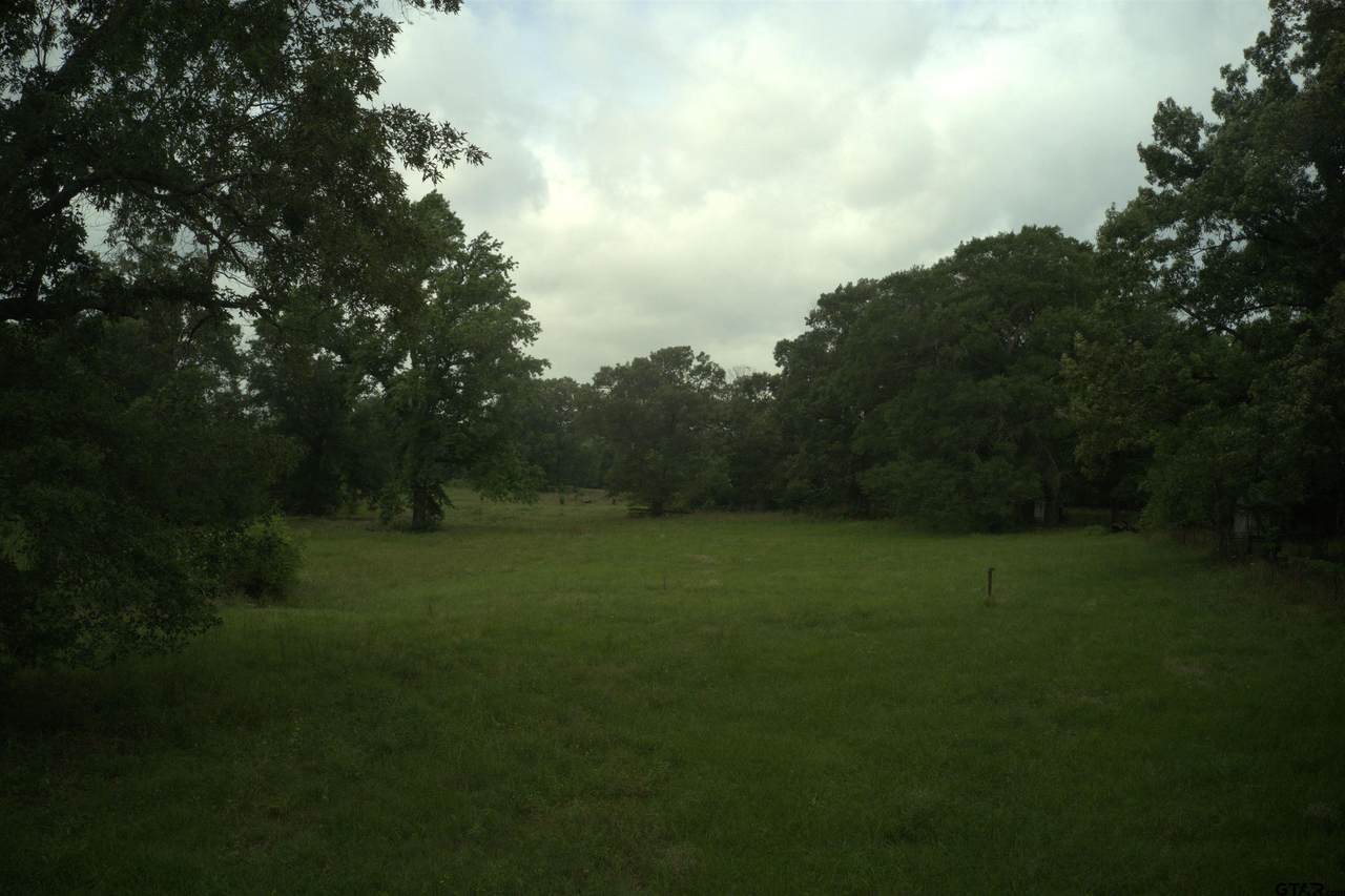 14546 Hwy 271 - Photo 1
