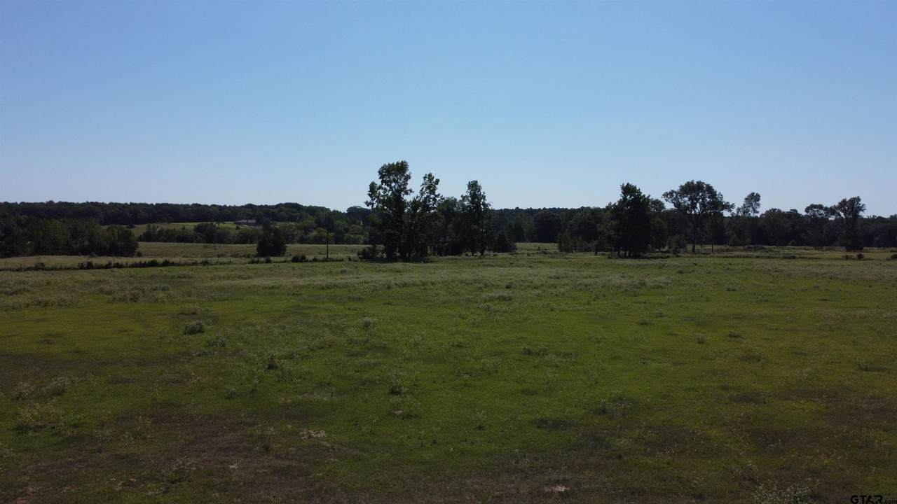 TBD 2 County Road 3270 - Photo 1
