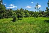 9702 N Highway 37 - Photo 39