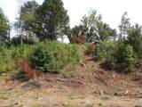 16393 Hwy 31 Lot-4 - Photo 11