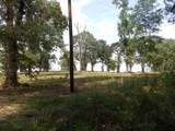 16393 Hwy 31 Lot-4 - Photo 13